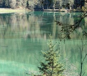 Betrübt nicht den Heiligen Geist