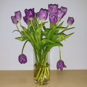 Der Tulpenstrauß