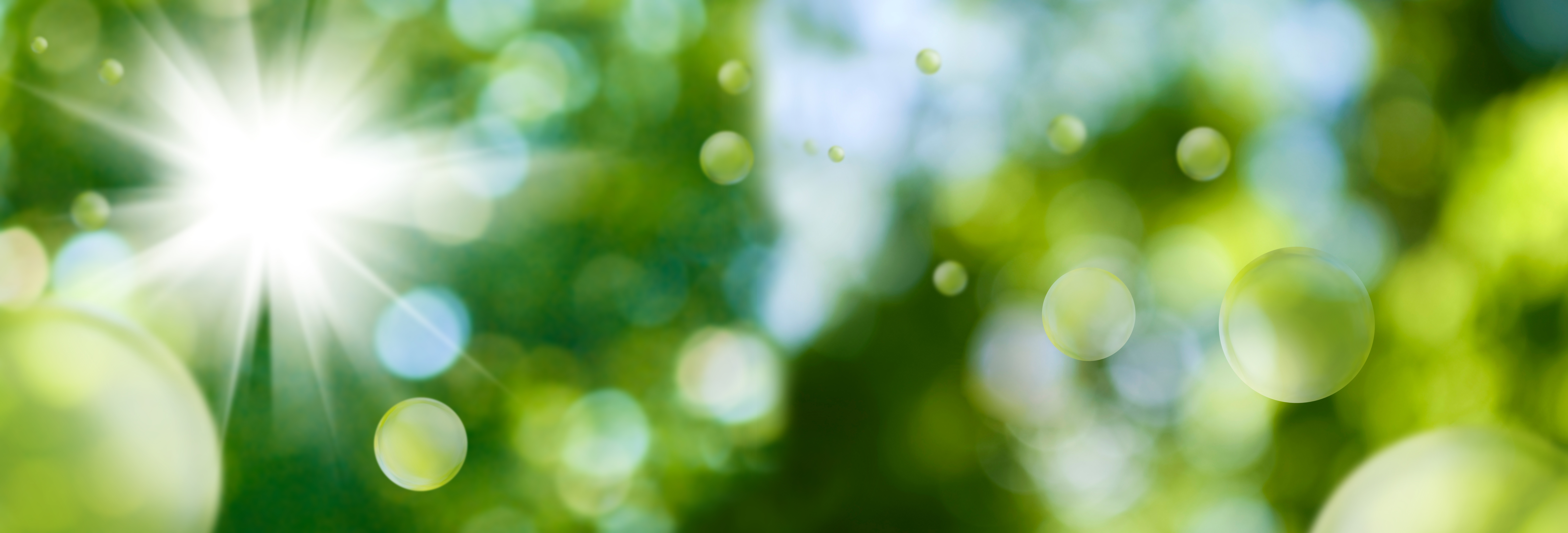 AdobeStock_214786300
