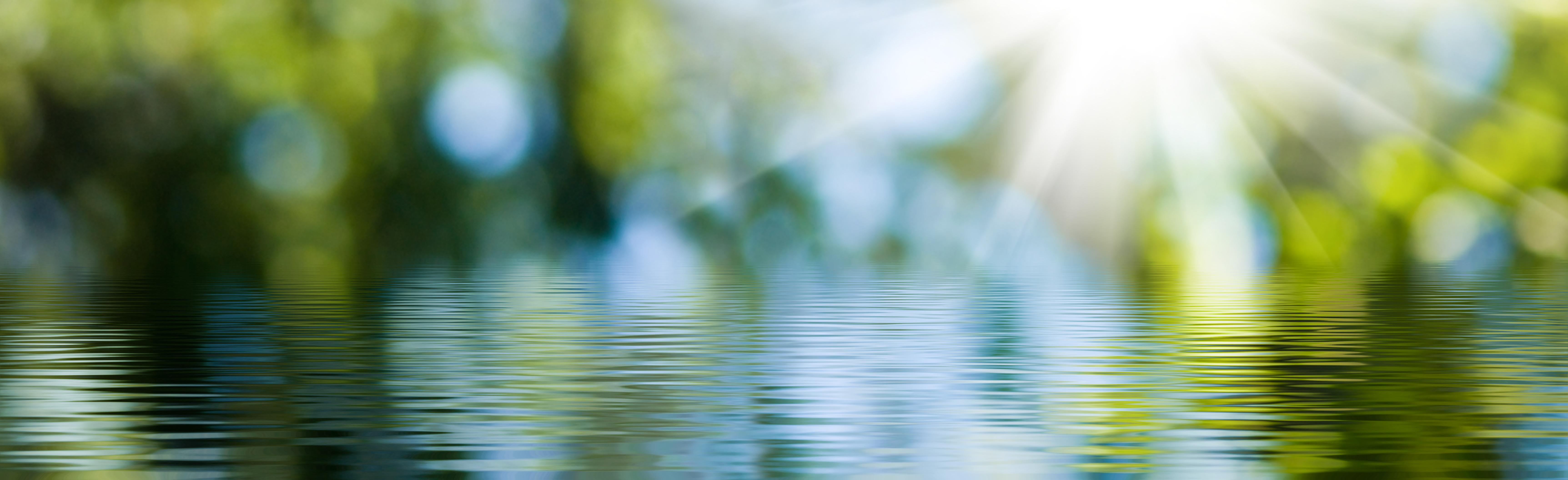 AdobeStock_282596489